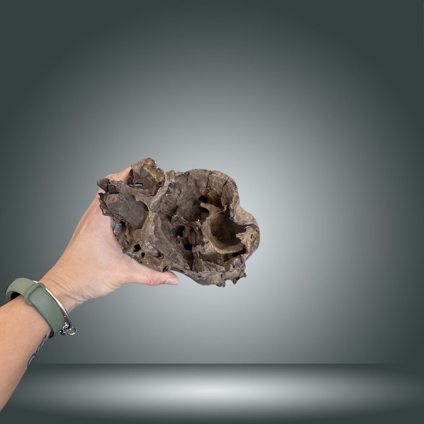 Tree Stump 13F - 004