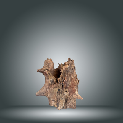 Tree Stump 13F - 006