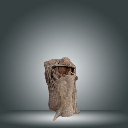 Tree Stump 24F - 060