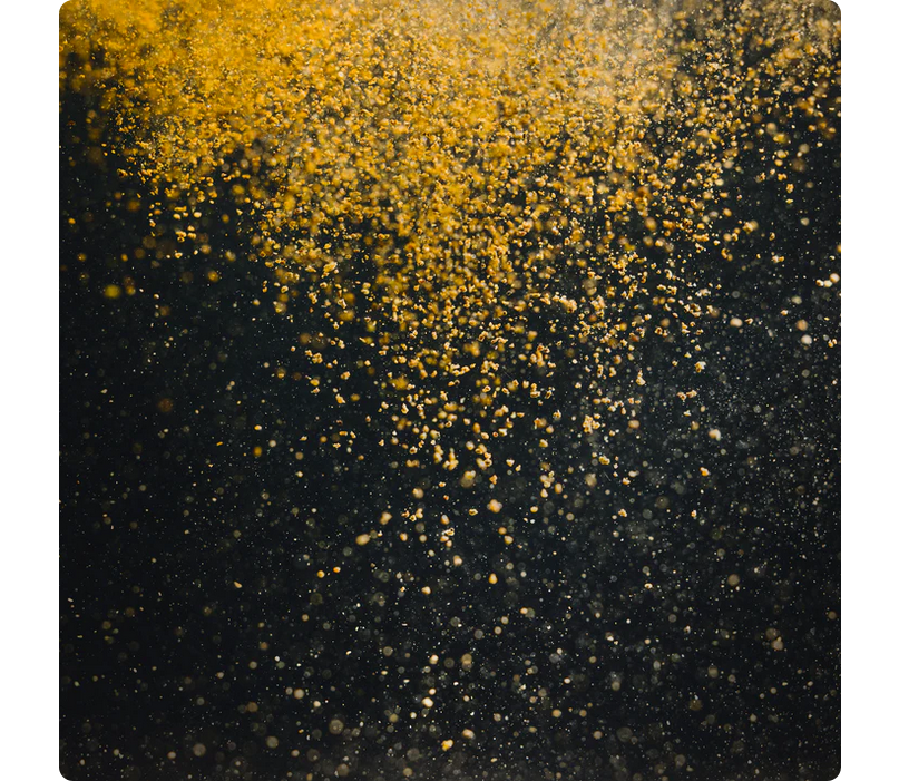 StreamBiz Universal Granules 80 g