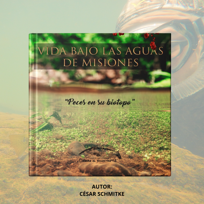 Vida bajo las aguas de Misiones - Peces en su Biotopo