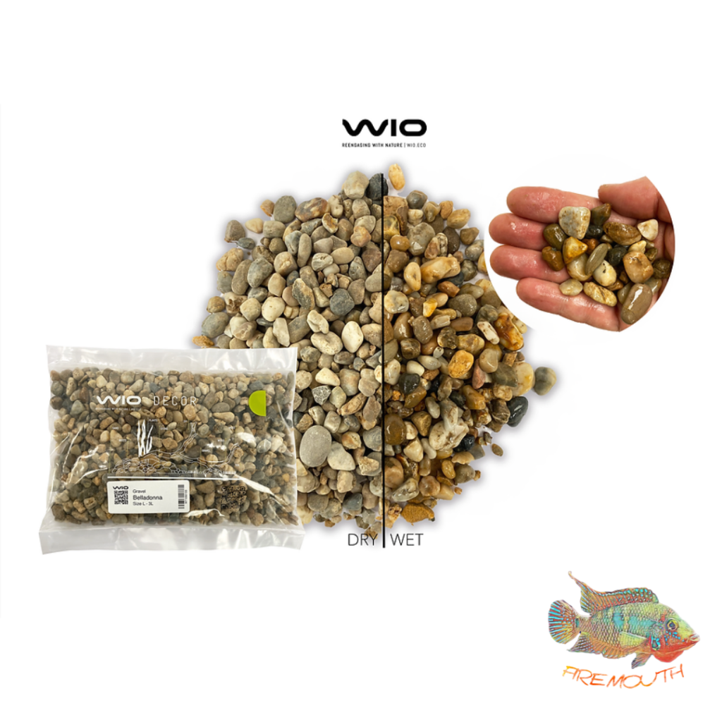 Belladonna Gravel Mix2 2kg, 3 - 40mm de WIO