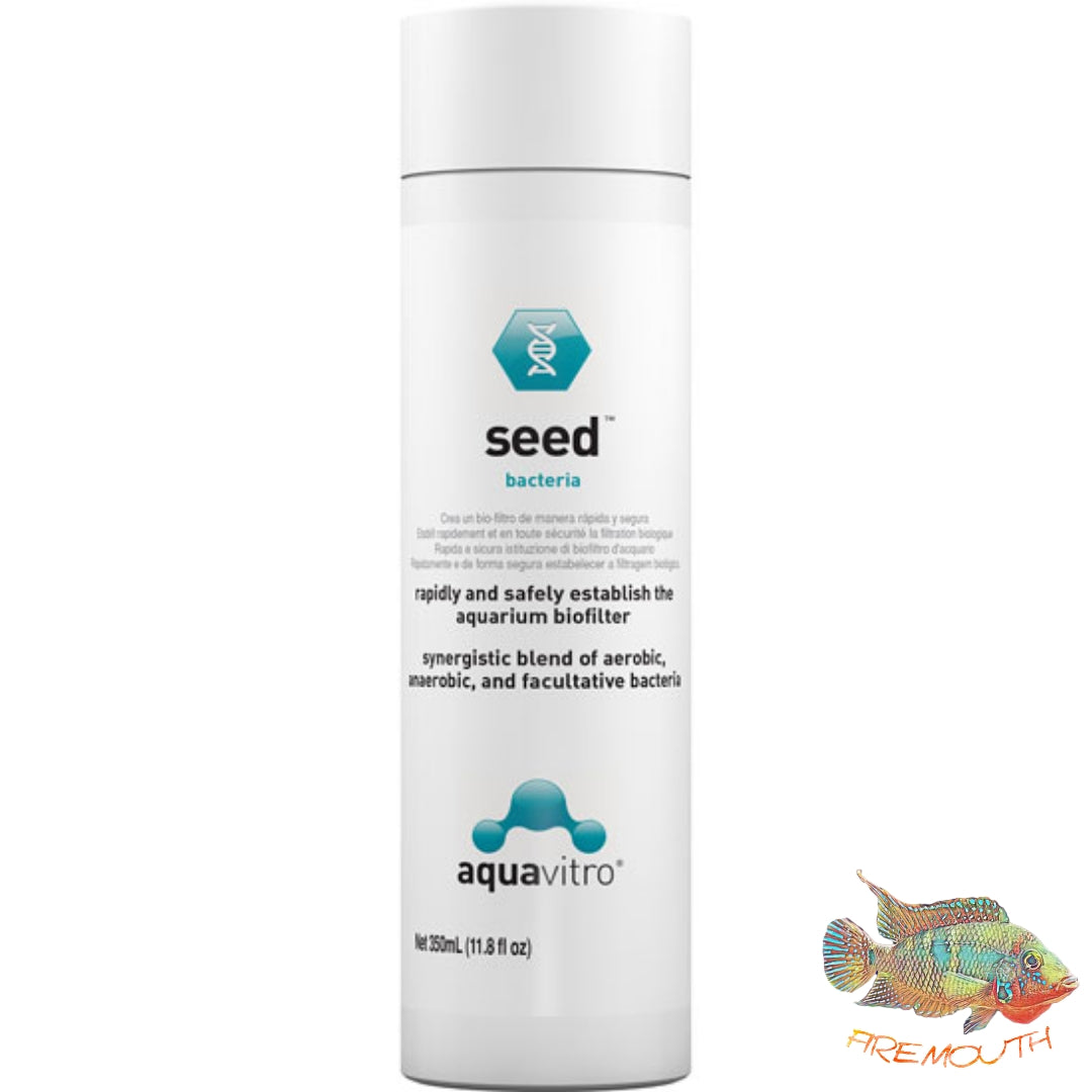 Seed de Aquavitro