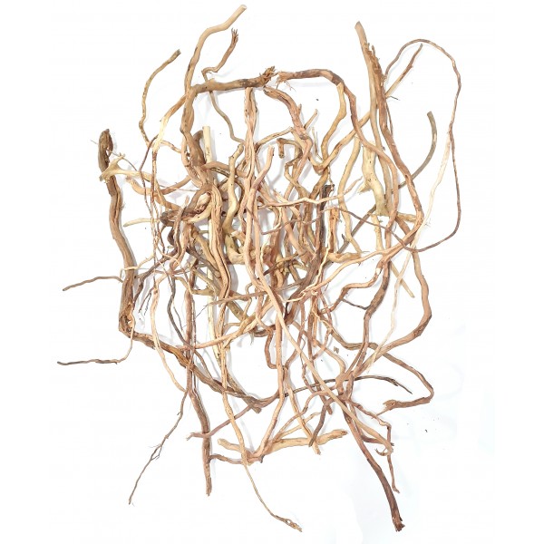 Mix branches - various sizes